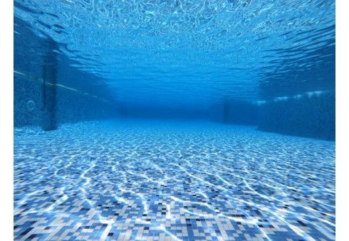 Möglichkeiten zur Wassererwärmung in Gewerbe- und Gartenschwimmbädern Möglichkeiten zur Wassererwärmung in Gewerbe- und Gartenschwimmbädern