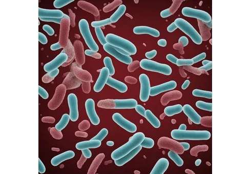 E. coli Bakterien im Wasser oder Trinkwasser - Problemanalyse. Was tun?